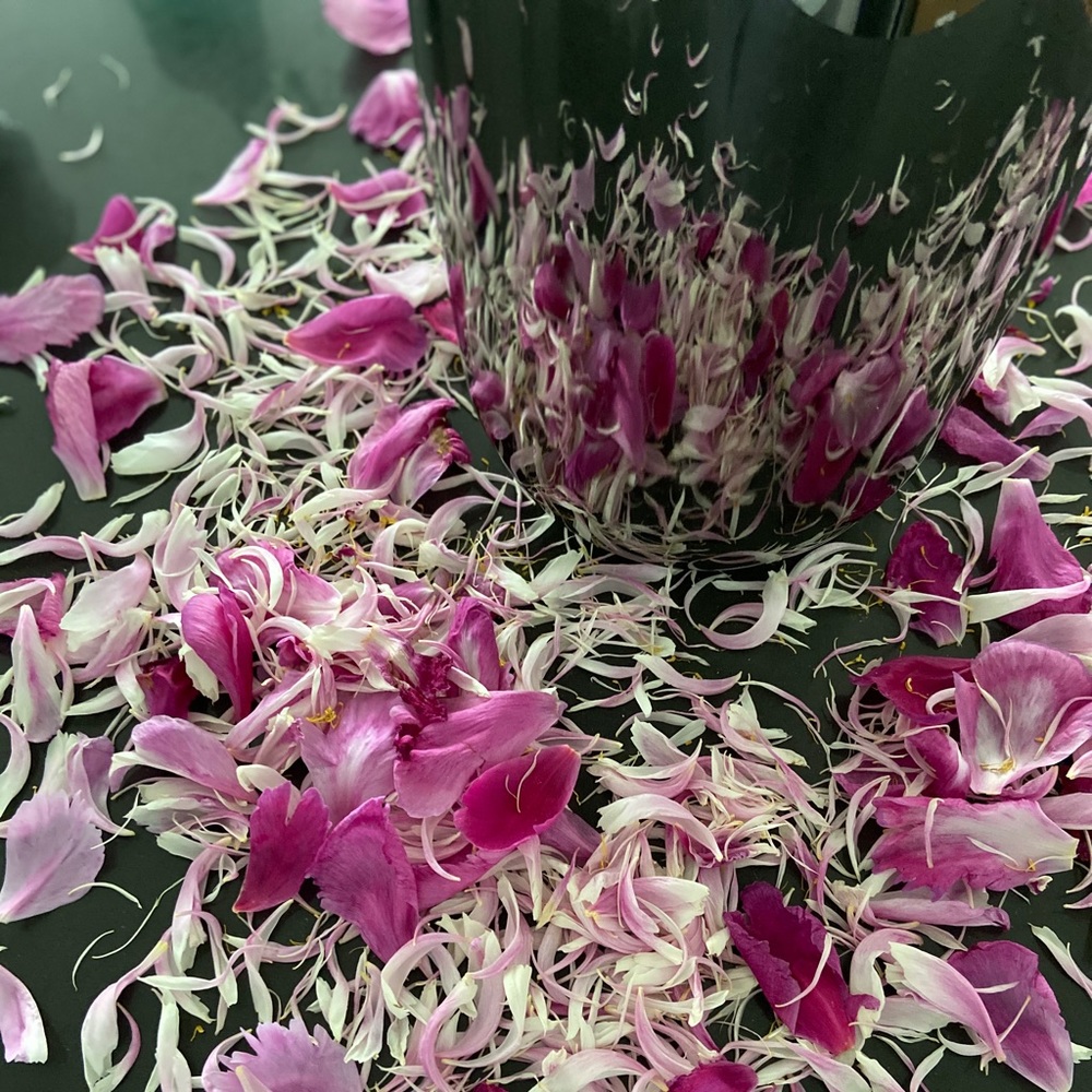 Meet your Posher, Nataly